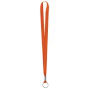 Lanyard